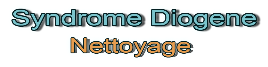 Diogene Nettoyage